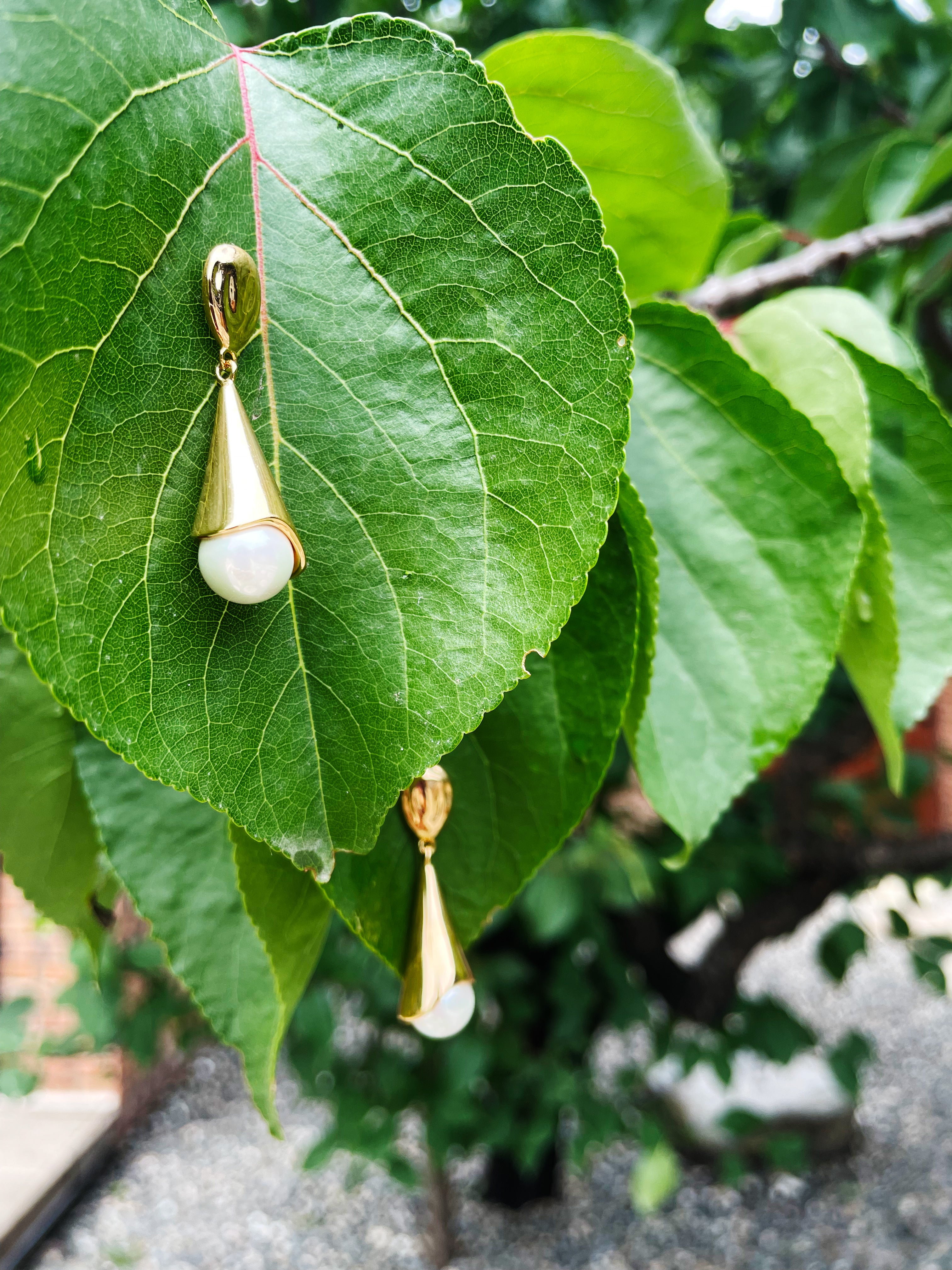 Big Pearl + Silver Earing